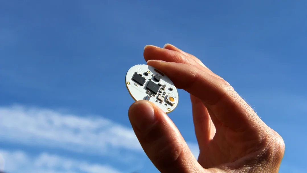 Fingers holding a small oval OpenBeacon tag circuit board against a blue sky
